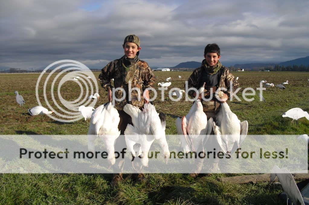 Snow Goose Hunting WA Limits of geese plus jewelry! Bloodydecks